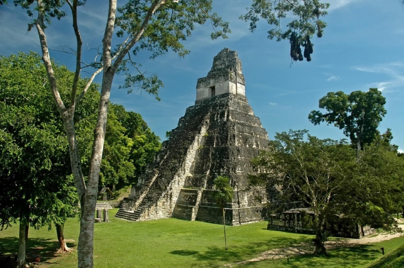del, jaguar, piramide, ancient, gran, nature and landscapes, park, mayan, 1080P, peten, guatemala, pyramid
