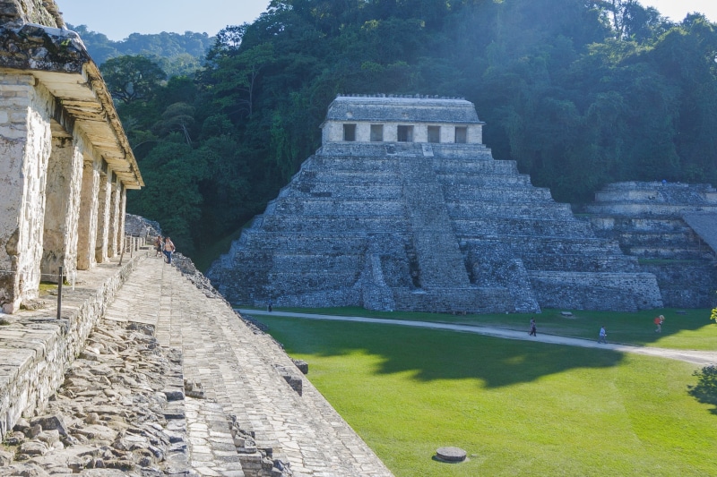 staircase, plant, history, built structure, prehispanic, culture, day, ancient, the past, mayan, blossom, travel, méxico, place of worship, mexico, building