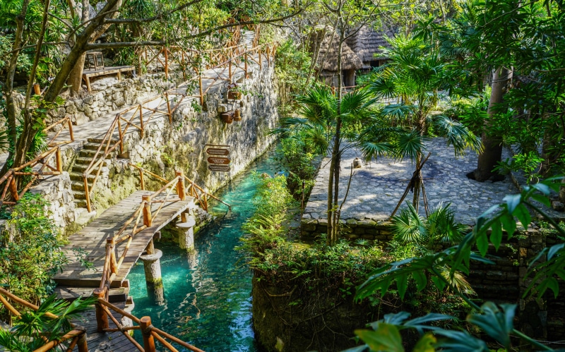 tree, scenics - nature, outdoors, colorful, 8K, plant part, green, attraction, brown, tourism, exotic, vacation, mexico, tropical, building exterior, beauty in nature