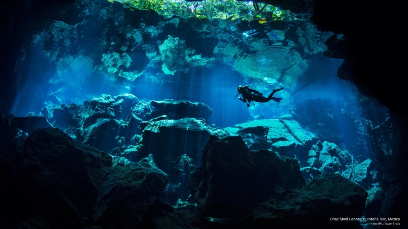 Nature, roo, mool, cenote, 2K, quintana, mexico, chac