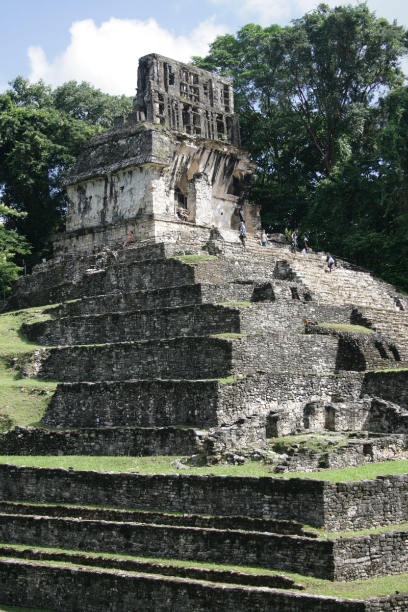 jungle, travel, religion, built structure, ancient civilization, culture, nature, temple, ancient, building exterior, building, monument, archaeology, old ruin