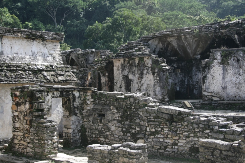 4K, monument, prehispanic, plant, history, ruins, old, rock, mexico, culture, building exterior, building, nature, travel, built structure, the past, ruined