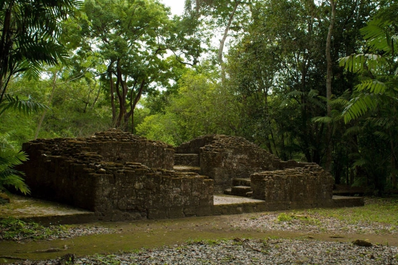 outdoors, cemetery, plant, history, built structure, mesoamérica, Culture, the Past, growth, travel destinations, damaged, old, nature, 1080P, stone Material