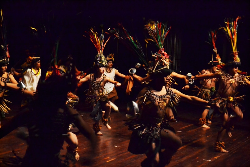 crowd, ballet dancers, real people, group of people, large group of people, night, arms raised, dancing, mexico, foklore, togetherness, performance, lifestyles