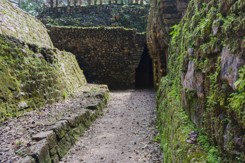 green color, river, spring, wall, 2K, waterfall, growth, built structure, no people, day, mayan, culture, plant, history, moss, water, mexico, ancient civilization