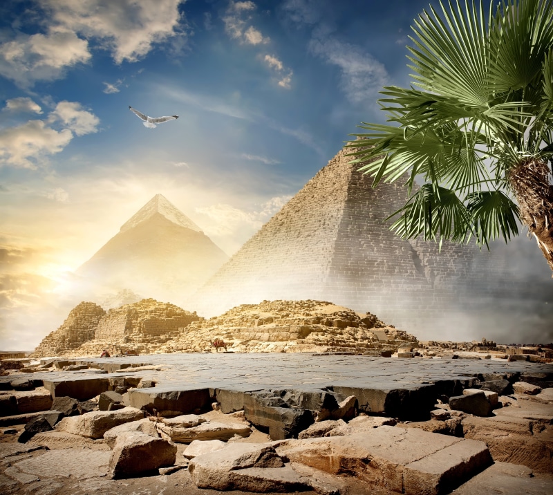 no people, desert, bird, Egypt, the sky, camels, water, outdoors, landscape, clouds, mountain, pyramid, travel destinations, scenics - nature, 4K, tree