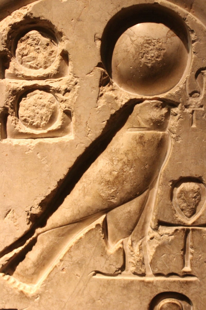 craft, male likeness, carving, hieroglyphs, sun, history, civilization, falco, built structure, archaeology, egyptians, ancient civilization, egypt, old