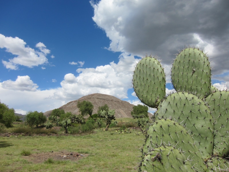 mountain, green, arid climate, teotihuacan, cloud - sky, ruins, outdoors, cactus, succulent plant, non-urban scene, tranquil scene, 1080P, green color