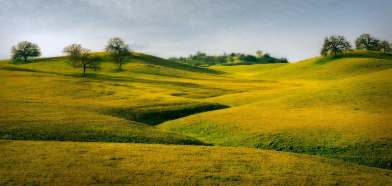 720P, Flowers, rural Scene, Soft, green Color, nature, California, grass, meadow, distant, grass field, green grass, landscape, field, photo, green, trees
