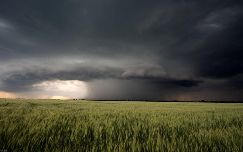 clouds, rain, storm, 1080P, field, 3d and abstract, distant