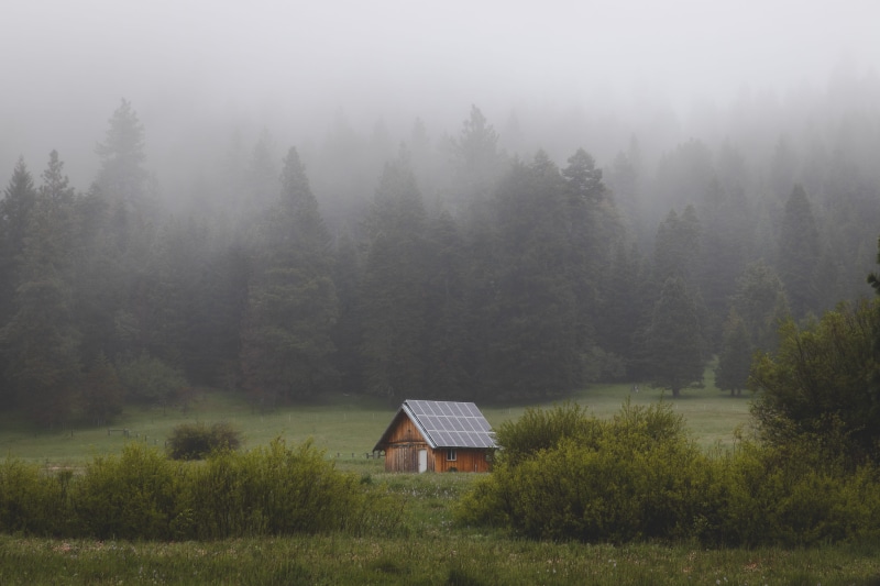house, brown, pine, plant, cloud, cabin, building, solar panel, farm, land, field, tree, outdoors, environment, fog, green, nature, off the grid, grass