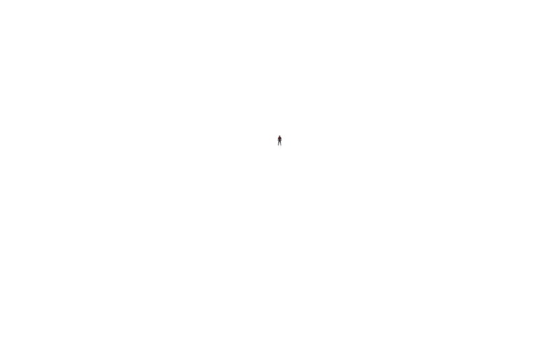 no people, animal themes, animal, outdoors, day, distant, bird, one animal, flying, animal wildlife, nature, copy space, Ant-Man, 1080P, low angle view