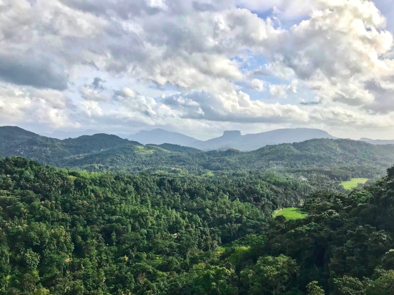 beauty in nature, foliage, forest, mountain, green color, plant, growth, kadugannawa, tree, cloud - sky, nature, tranquil scene, outdoors, sky, day, non-urban scene