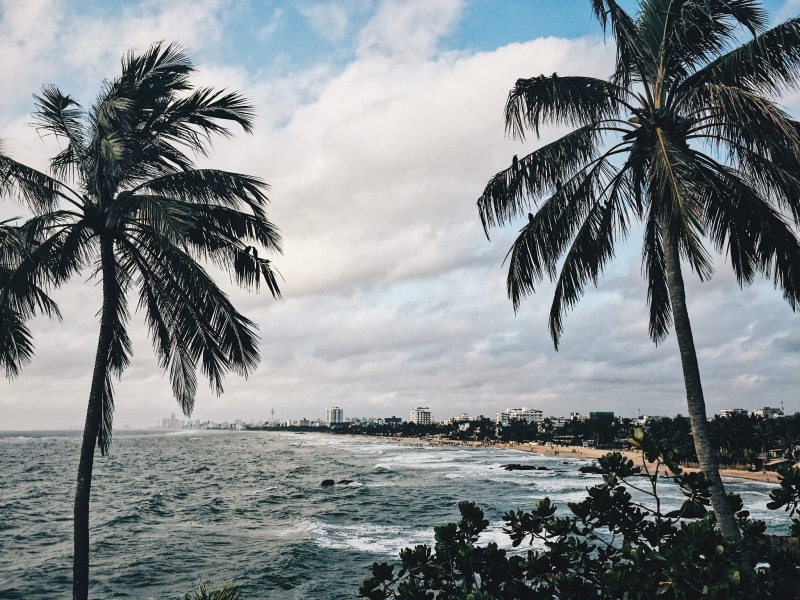 no people, outdoors, water, horizon over water, plant, palm tree, cloud - sky, forest, sea, coconut palm tree, tropical tree, land, sri lanka, wave, beach