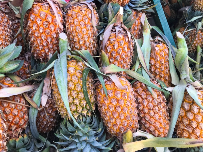 high angle view, day, retail, pineapples, food, large group of objects, fruit, wellbeing, gampaha, outdoors, retail display, market, for sale, food and drink