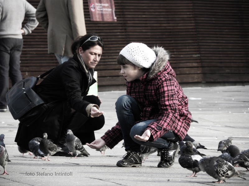 mom, architecture, men, city, warm clothing, gubbio, little girl, real people, birds, sitting, family, hat, pigeons, group of people, piazza, people, clothing