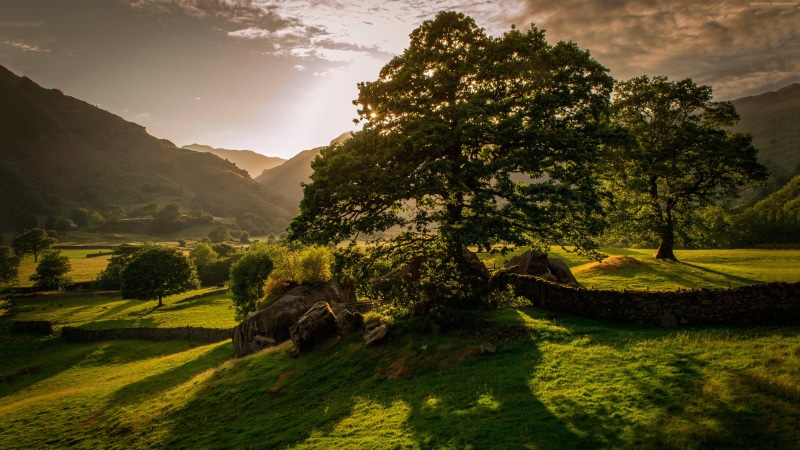 Ireland, trees, sunset, hills, 5k, meadows, 4K, 4k