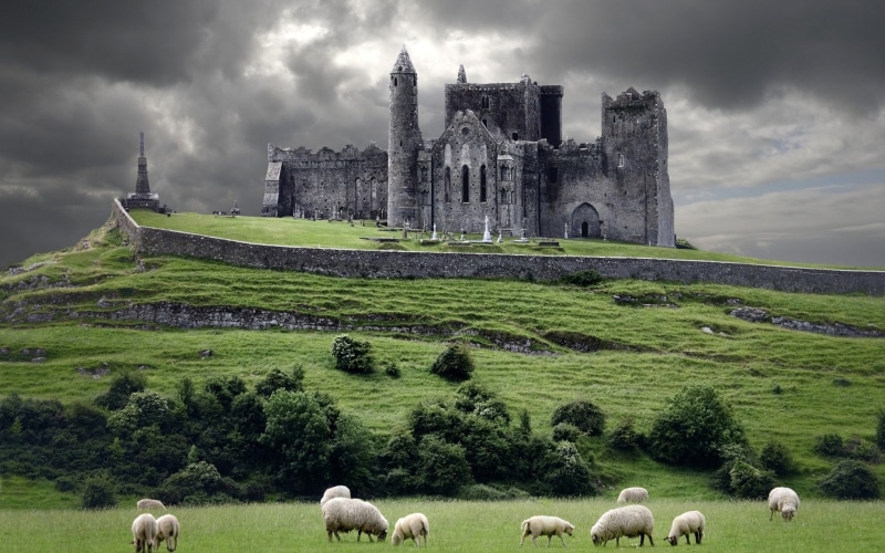 Rock, plant, grass, mammal, ruined, domestic animals, group of animals, animal themes, ancient civilization, sheep, cloud - sky, ireland, field, architecture