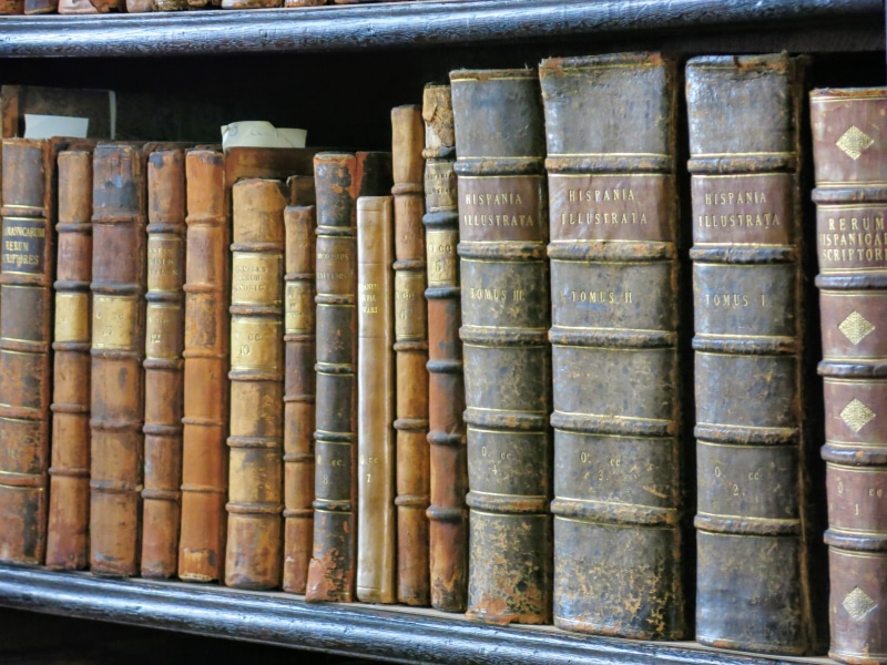 large group of objects, historic, learning, architecture, tan, order, brown, education, bookshelf, vertical, antique, long room, library, shelf, side by side
