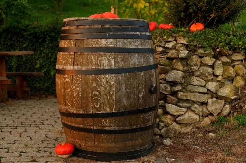 stone - object, nature, day, fermentation, wooden barrels, wooden, about, wine barrel, cylinder, agriculture, wine storage, grapes viticulture, brown, vineyard