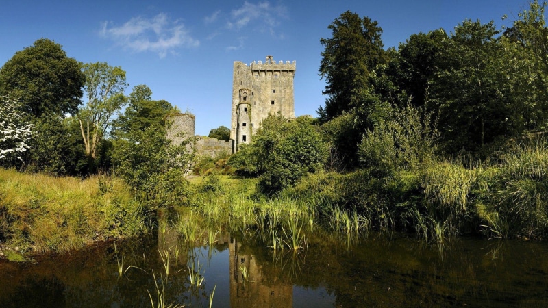 1920x1080, green, 1080P, blarney castle, castle, world, tree, leaf, europe, blarney, ireland