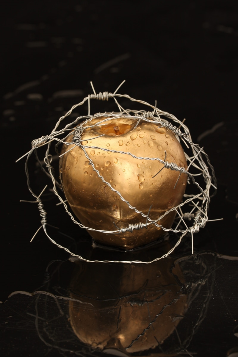 animal egg, paradise, indoors, raw food, mysticism, adam, egg, dom, magic, life, eve, fairy tale, forbidden, yellow, wellbeing, gold, art, food and drink