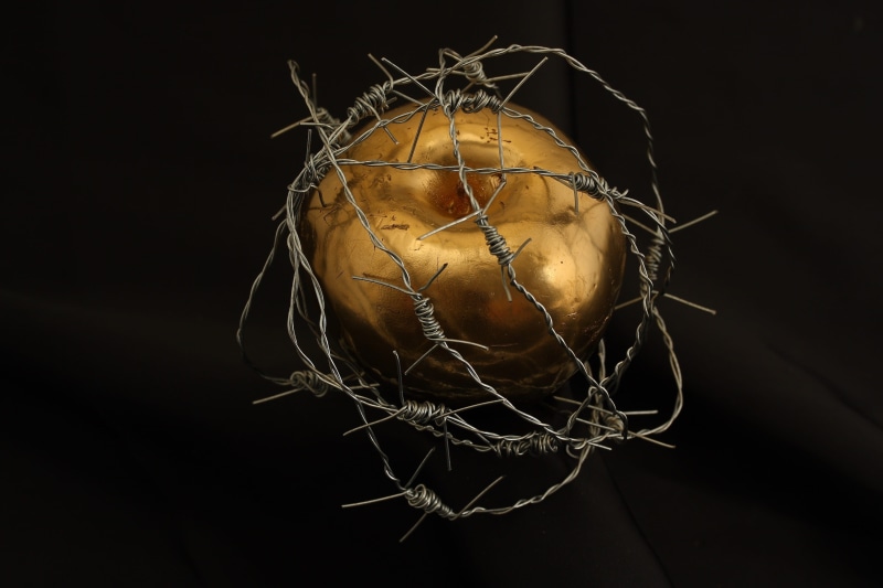 forbidden fruit, indoors, god, religion, womens, barbed wire, no people, freshness, organic, gold, black background, adam, opinions, ripe, conceptual, cut out