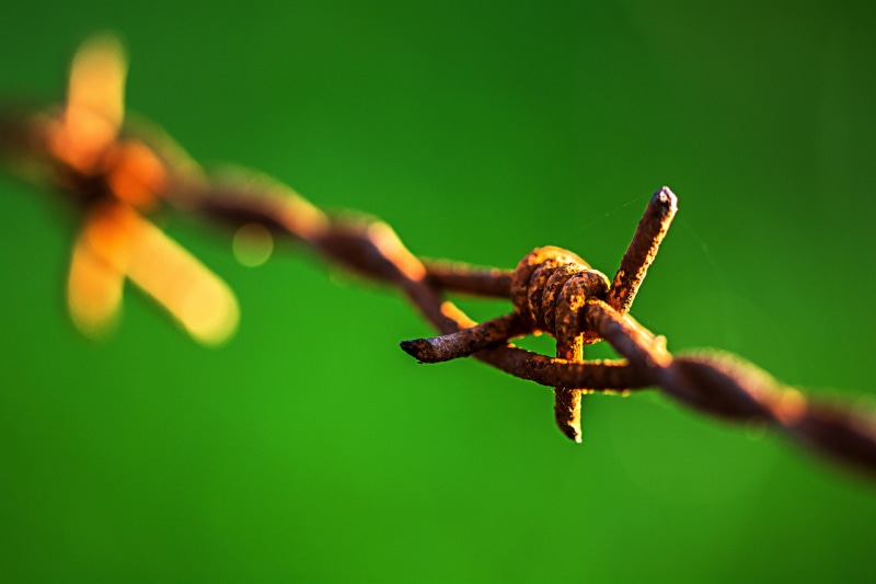barbed wire, Sigma, 5K, barbed, Stacheldraht, Macro, 105 mm, wire, shallow, Makro, shallow focus, photography, focus