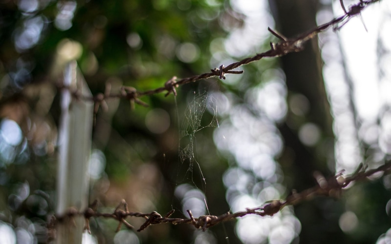 spider, macro, nature, hd, 1080P, wire, web, bokeh, fence, barb