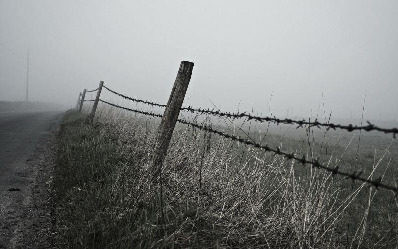 plant, grass, protection, tranquil scene, safety, field, nature, 1080P, outdoors, landscape, wooden post, timothy grass, fence, boundary, no people, barbed wire