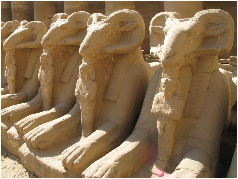pharaohs, no people, arranged, karnak, archaeology, luxor, 4K, soil, nile, art and craft, the past, craft, travel, male likeness, sphinx, sculpture, history