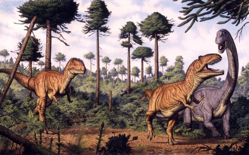 tree, animal wildlife, domestic animals, animal, Brachiosaurus, no people, cloud - sky, growth, plant, yellow, blue, beauty in nature, fighting, animals in the wild