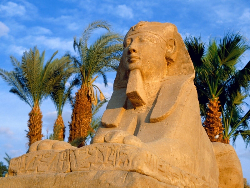 sculpture, palm tree, Luxor, plant, representation, history, ancient civilization, archaeology, craft, tree, 720P, the past, creativity, travel destinations