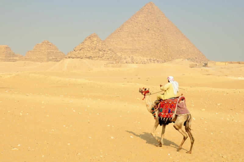 climate, one person, man, cairo, domestic animals, mammal, desert, nature, pharaoh, camel, egyptian temple, sphinx, ancient, pyramids, camels, dromedary