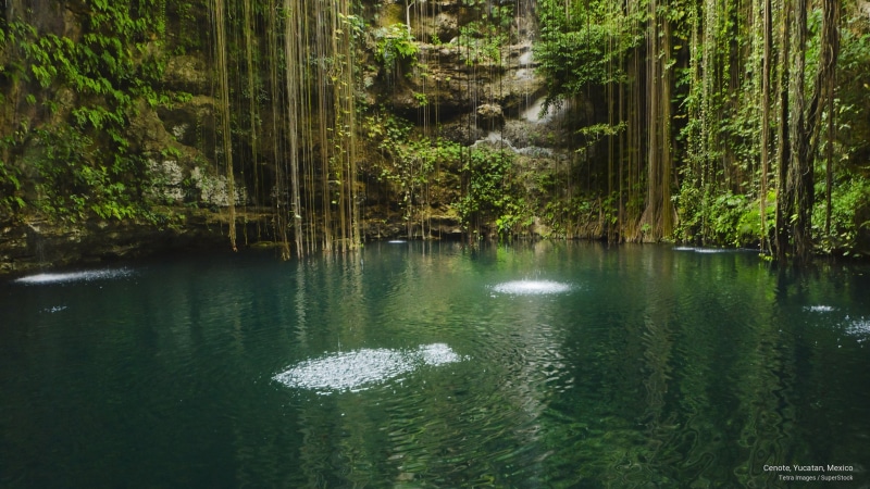 Nature, mexico, 2K, yucatan, cenote