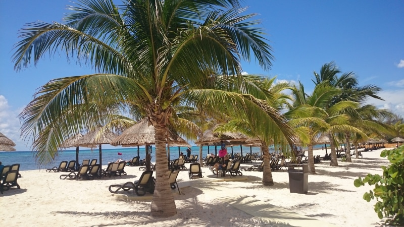 tropical climate, Caribbean, tree, palm tree, water, trip, beach, coconut palm tree, beauty in nature, Cancun, tropical tree, sunlight, Xcaret, vacations