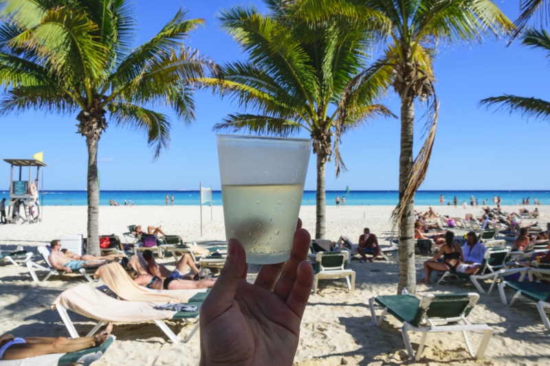 sky, dream holiday, nature, holding, drinking, real people, relaxation, group of people, tropical Climate, coastline, palm trees, by the sea, summer, day