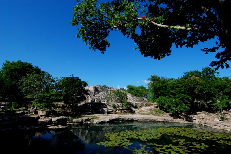 day, sky, outdoors, beauty in nature, forest, no people, blue, nature, tree, great, growth, rock - object, rock, Yucatan, 2K, water, scenics - nature