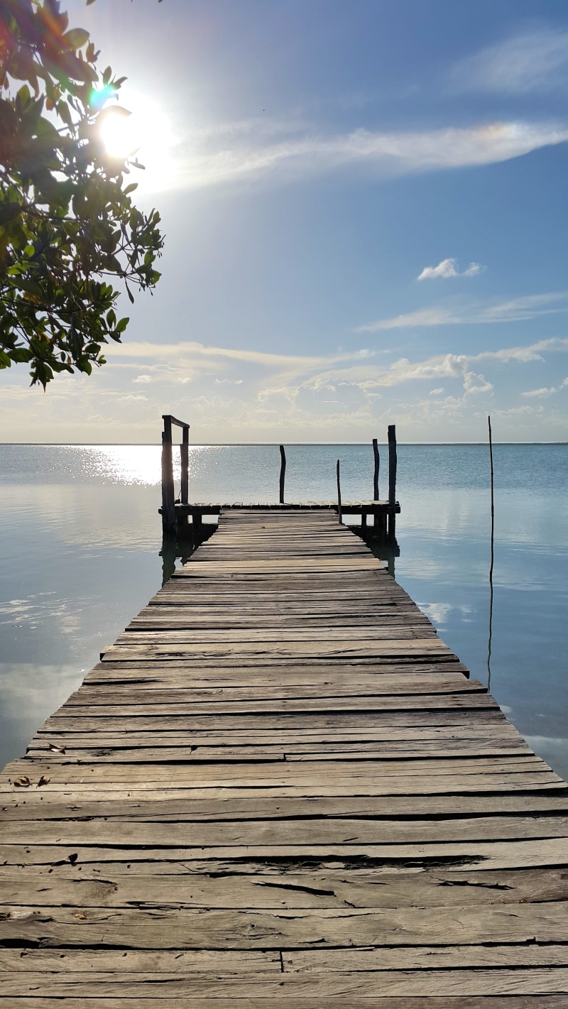 sea, tranquil scene, the way forward, pier, wood - material, empty, water, long, bacalar, direction, 5K, wood paneling, idyllic, wood, nature, horizon