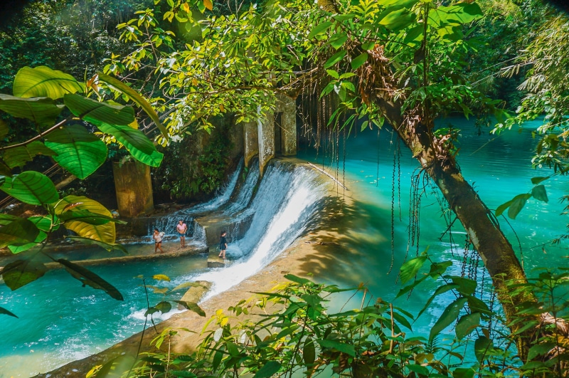 rainforest, 2K, leaf, unknown, outdoors, tranquility, turquoise water, philippines, jungle, waters, plant, nature, growth, badian, motion, explore, land