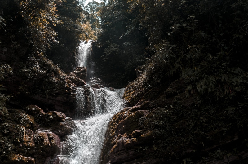 power in nature, long exposure, rainforest, flowing, day, trees, falling water, water, nature, environment, xilitla, flowing water, rock, beauty in nature