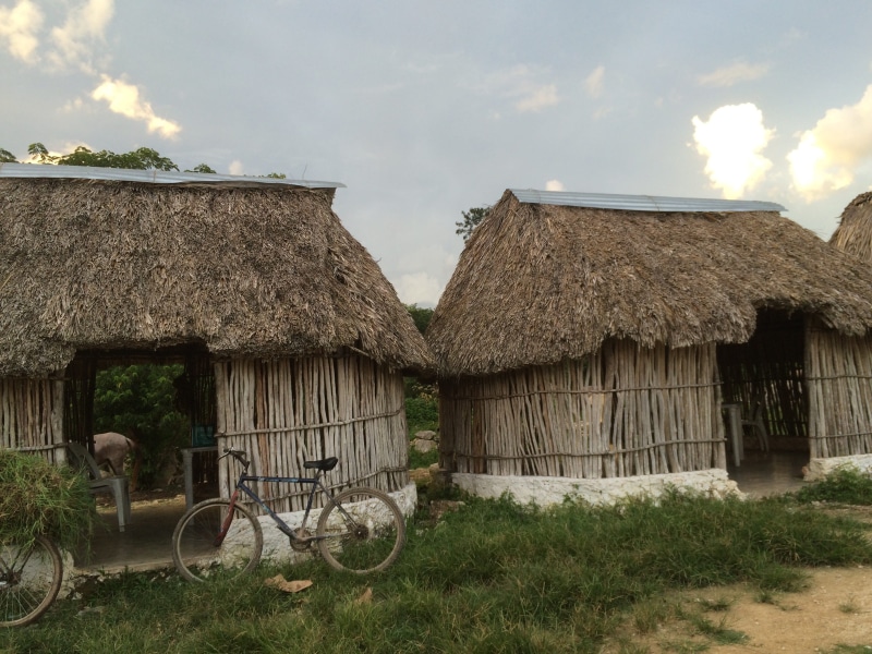 house, bicycle, plant, outdoors, cloud - sky, blue, merida, cottage, thatched roof, built structure, architecture, transportation, no people, sky, building