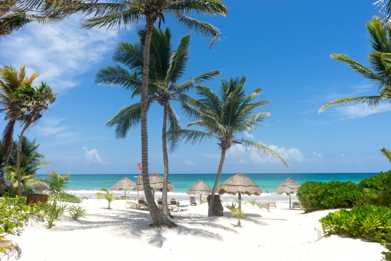 horizon, nature, growth, day, tulum, tranquility, palm tree, outdoors, sea, tranquil scene, mexico, beach, palm threes, scenics - nature, horizon over water