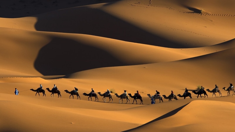 desert, group of people, travel, group of animals, animal, mammal, large group of animals, animal wildlife, scenics - nature, nature, sand, domestic animals