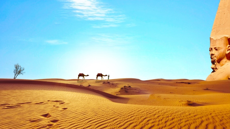land, sahara, landscape, climate, animal, walking, environment, temple, desert, domestic, egypt, sand, group of animals, digital art, nature, no people