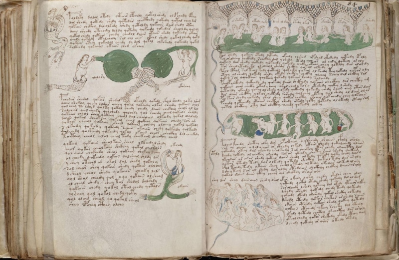 The manuscript, The Voynich Manuscript, Voynich, Book, Manuscript, 1080P