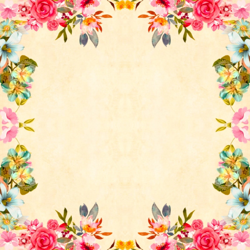 digital composite, album, blank, studio shot, cluster, scrapbooking, pink color, decoupage, floral, aged, plant part, roses, nature, nostalgic, background
