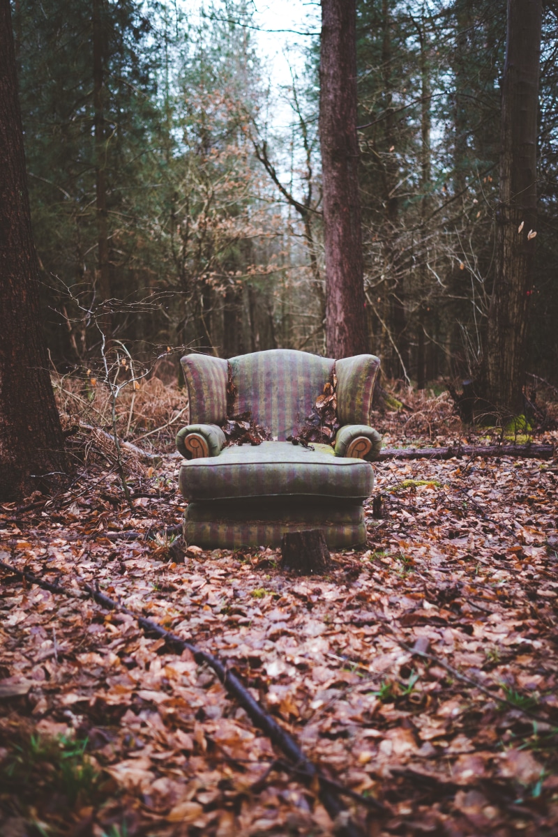 chair, tranquility, tree trunk, no people, day, plant, beauty in nature, plant part, sofa, 5K, absence, armchair, change, leaf, brown, faded, leaves, surface level