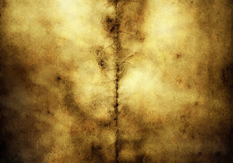 grunge, backgrounds, abstract backgrounds, textured effect, border, indoors, page, creativity, gold colored, burned, pattern, grungy, dirt, textured, full frame