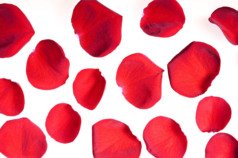 valentines day - holiday, heart shape, cut out, indoors, textured effect, large group of objects, con2011, studio shot, geometric shape, red, close-up